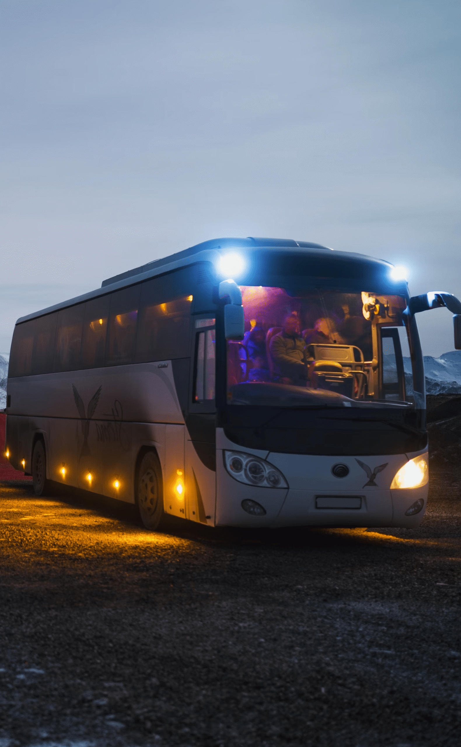 image_2024-03-05_163326697